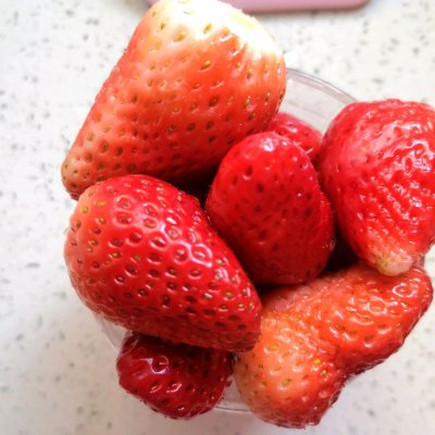 春日甜品制作教程草莓蛋奶布丁,自制软嫩q弹的草莓布丁