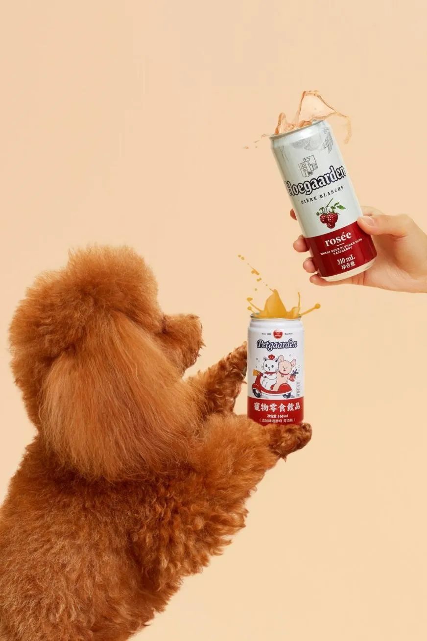 25岁,我给猫狗做奶茶,年入300万|后窗