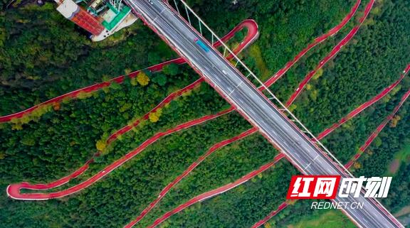 矮寨不矮时代标高丨“最危险公路”蝶变网红设计者揭秘背后故事