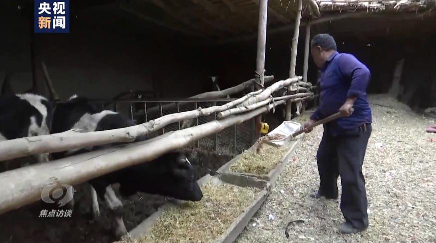 白棉花有假的吗,黑心棉被调查视频