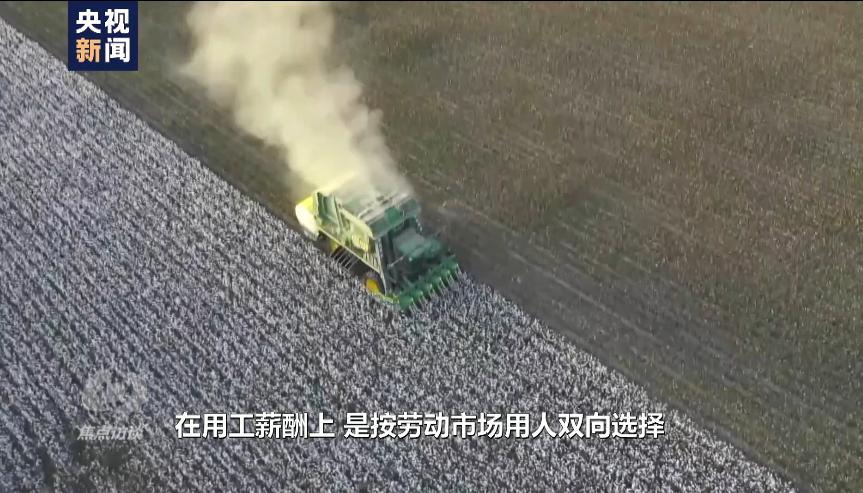 白棉花有假的吗,黑心棉被调查视频