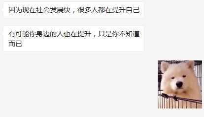 我去暗访偷偷考个研究生，看到底是哪种偷偷？