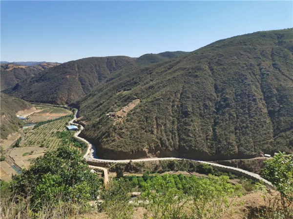 惠民县乡村振兴规划,振兴乡村惠民工程