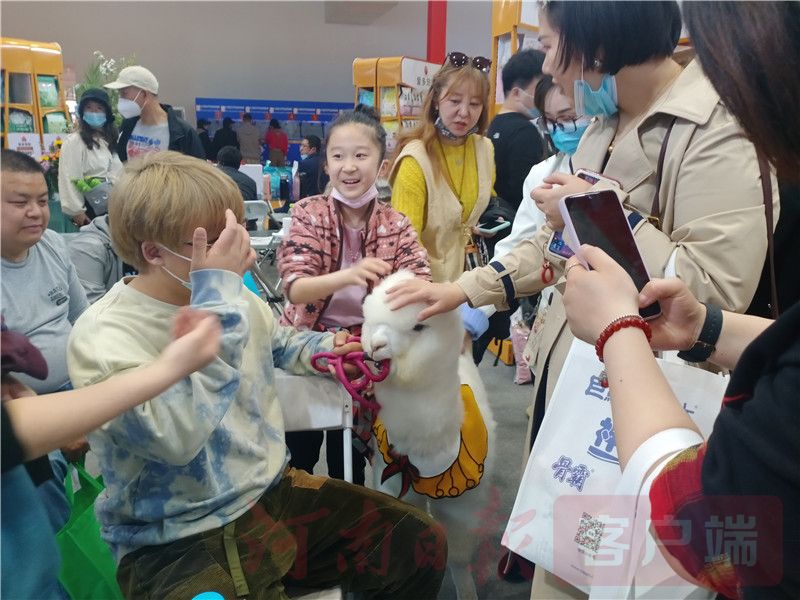 最新宠物博览会,宠物展会2024时间表广州萌宠展