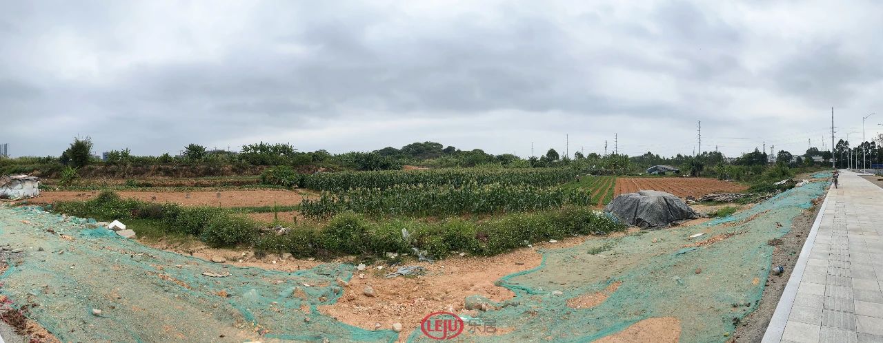 番禺现在最值得买的房子,番禺最值得买房的区域