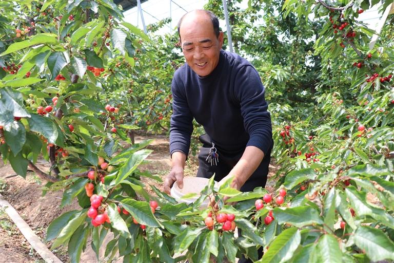 奋斗百年路启航新征程原文,奋斗百年路启航新征程字幕