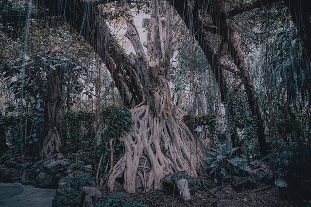 唐山带娃周末旅游攻略,唐山出发带娃两日游