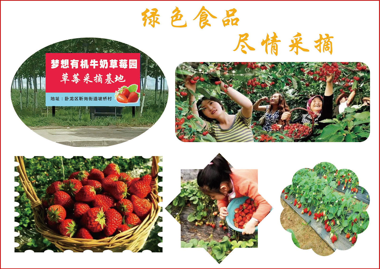 首届美丽卧龙文化旅游节游玩攻略,南阳美丽卧龙文化旅游节