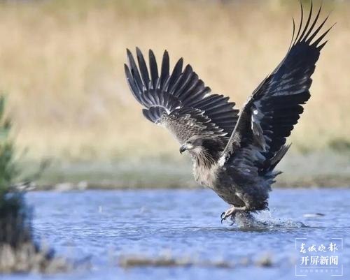 保山旅游攻略一日游景点,保山市旅游攻略一日游景点推荐