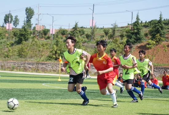 洛宁县足球联赛直播,举办首届青少年足球联赛