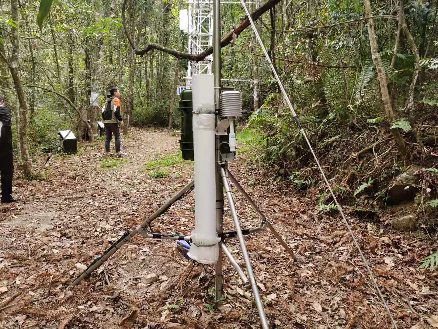 南岭探秘｜物之篇：它是世界地质与生态双珍宝，未来可期