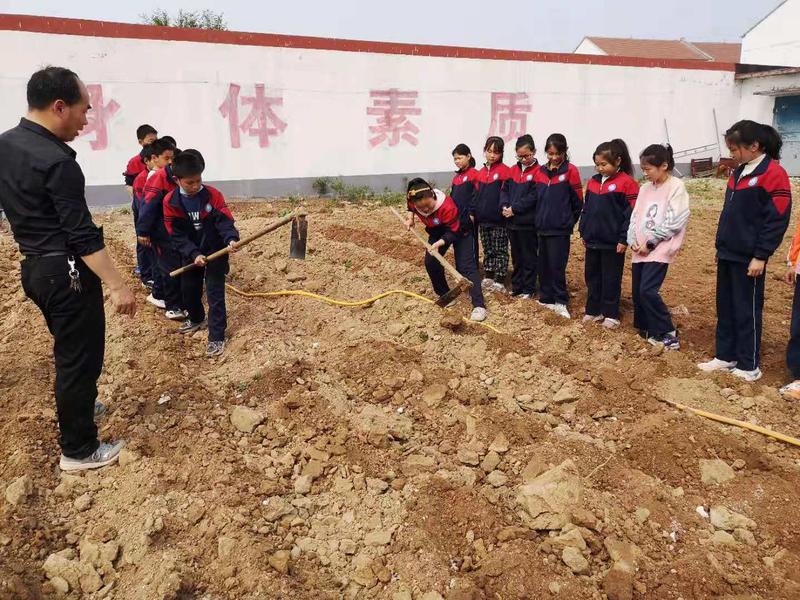 打造中国最美乡村,打造最美乡镇