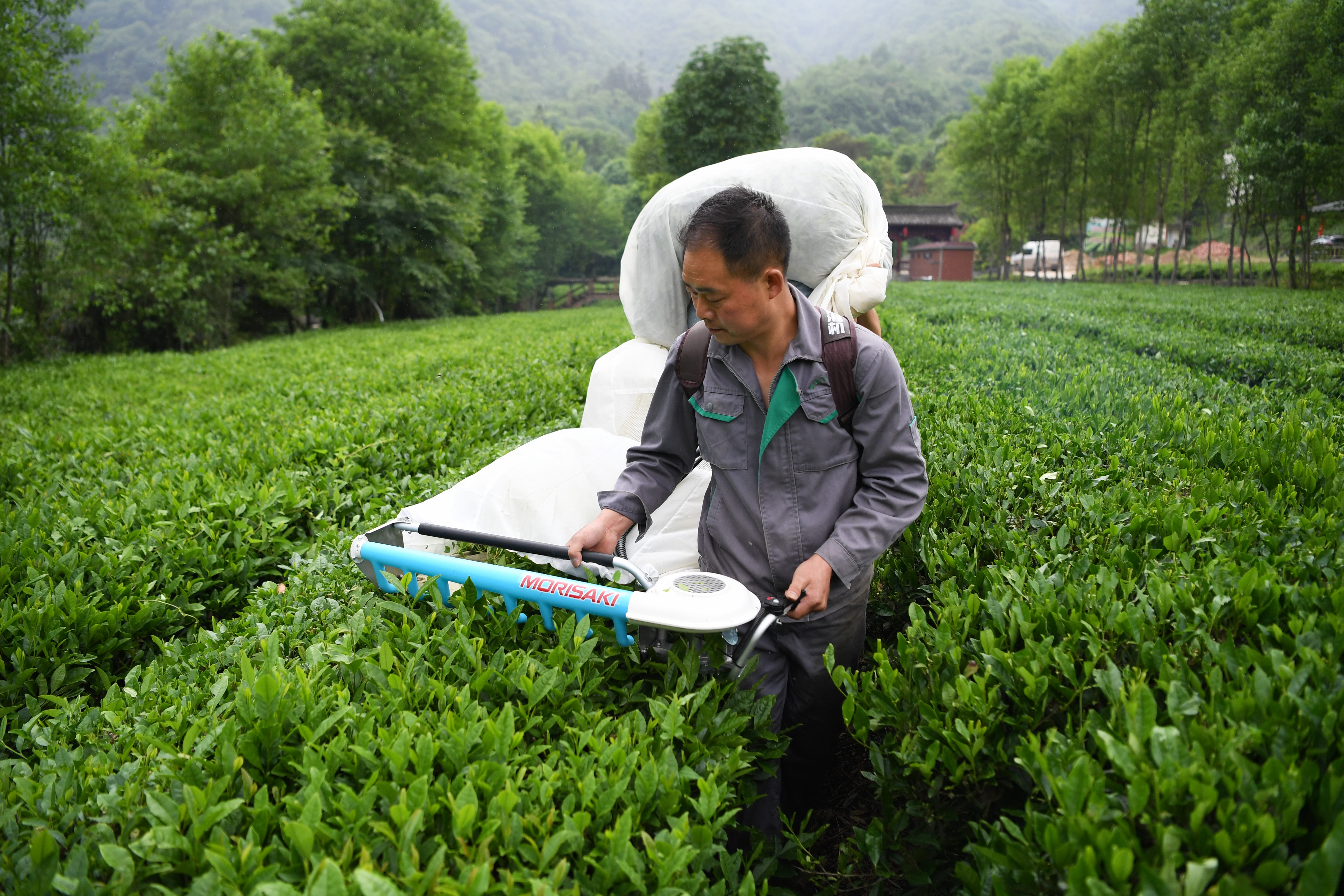 甘肃的变化让我感受到了,甘肃为什么要叫如意甘肃