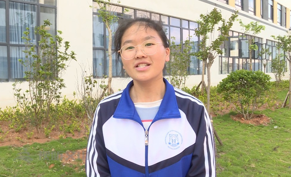 我的学校我作主游戏,我的学校我做主歌曲