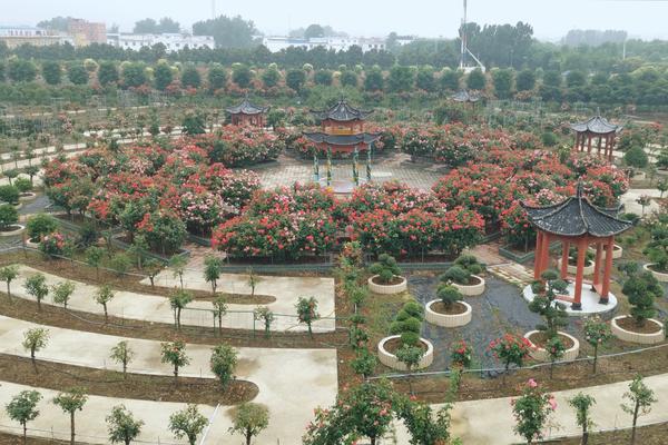 南阳花海欣赏,南阳月季花海的视频