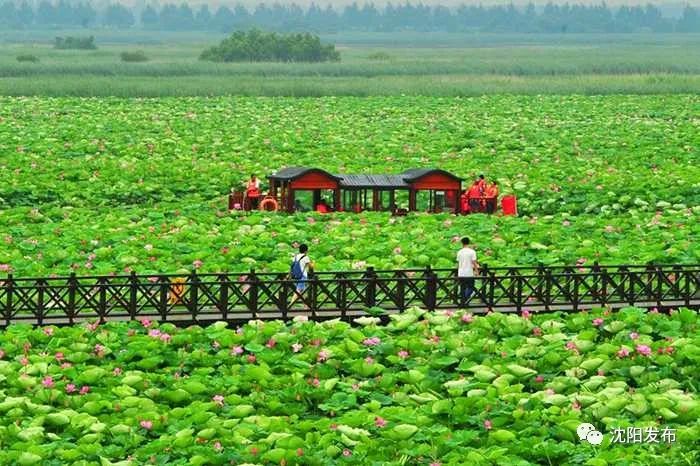 沈阳五一旅游人多吗现在,沈阳今天人多吗