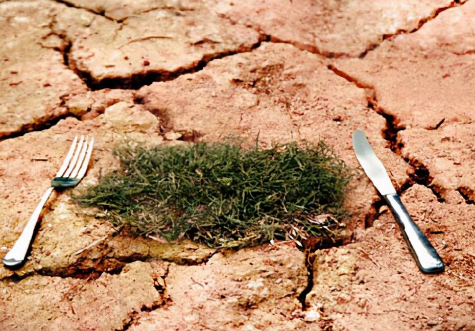 巴西遭严重洪灾,巴西干旱2019