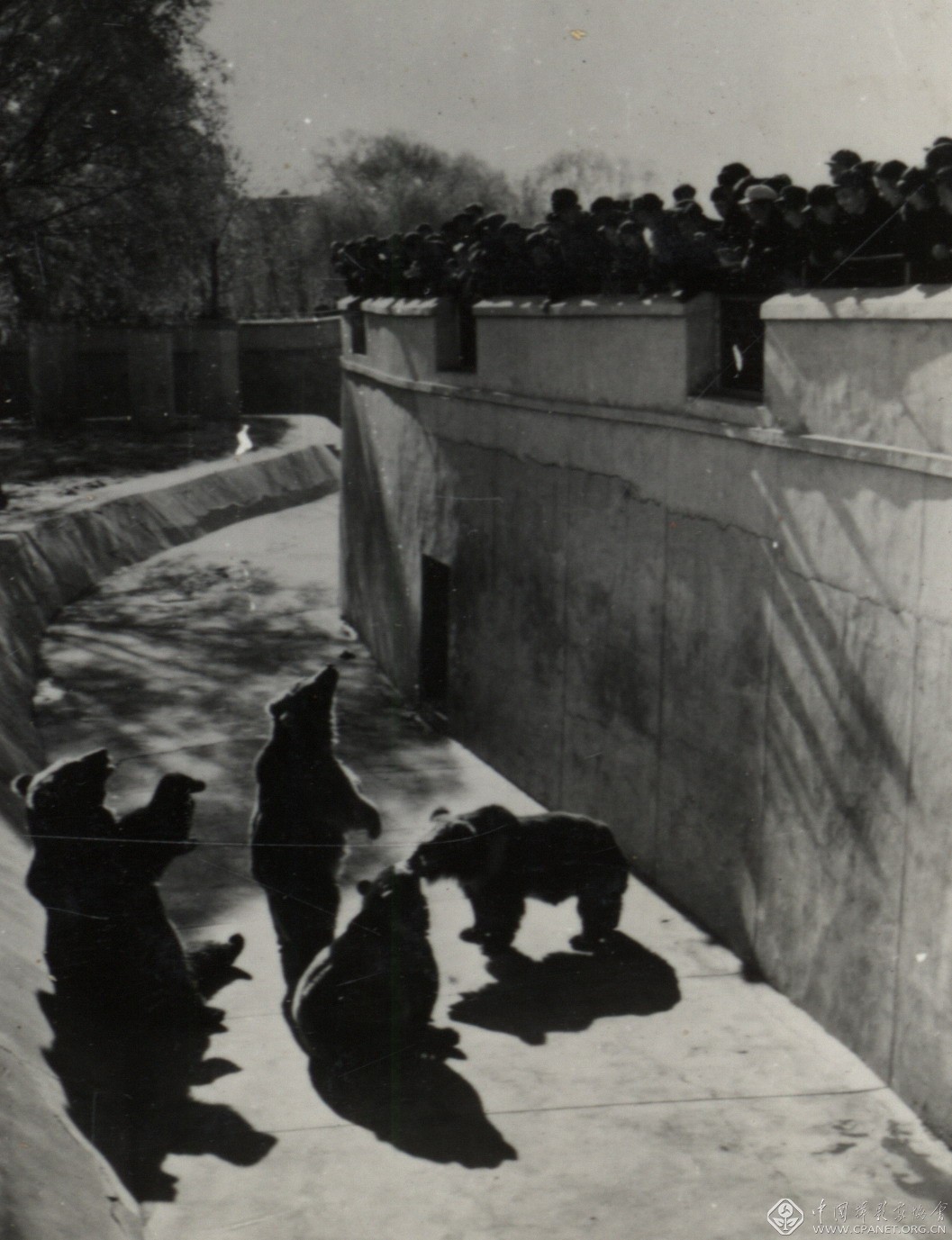 中国摄影大师作品赏析,中国摄影大师吴印咸摄影作品