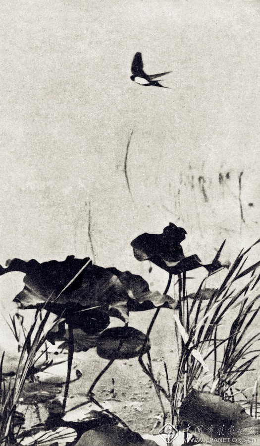 中国摄影大师作品赏析,中国摄影大师吴印咸摄影作品