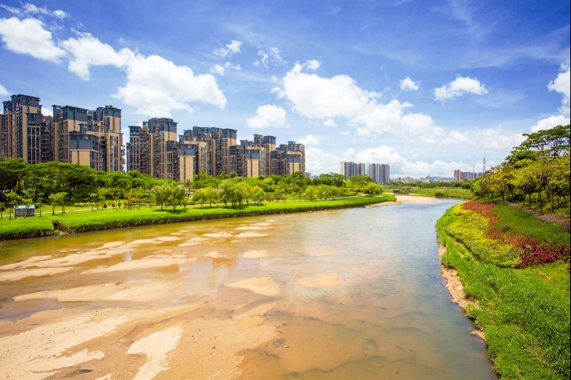 践行我为群众办实事实践活动,践行我为群众办实事主题党日活动