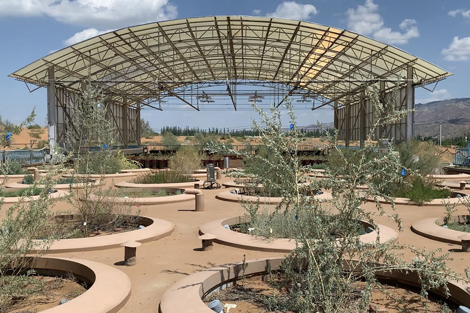 沙坡头沙漠区,沙坡头沙漠大不