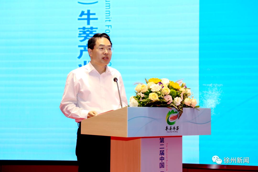 书记与县长,书记每周工作安排