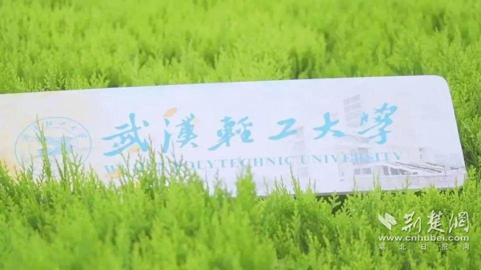 武汉轻工大学有什么优点,一起来探讨武汉轻工大学好不好