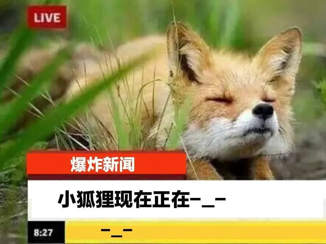 豆瓣与虎扑哪个好,豆瓣和虎扑哪个好