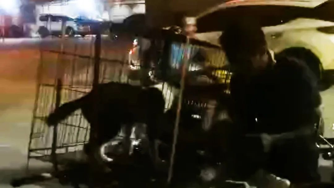 豆瓣与虎扑哪个好,豆瓣和虎扑哪个好