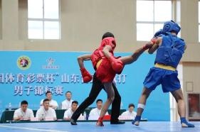 传统武术散打擂台争霸赛山东,山东省武术散打锦标赛对战表