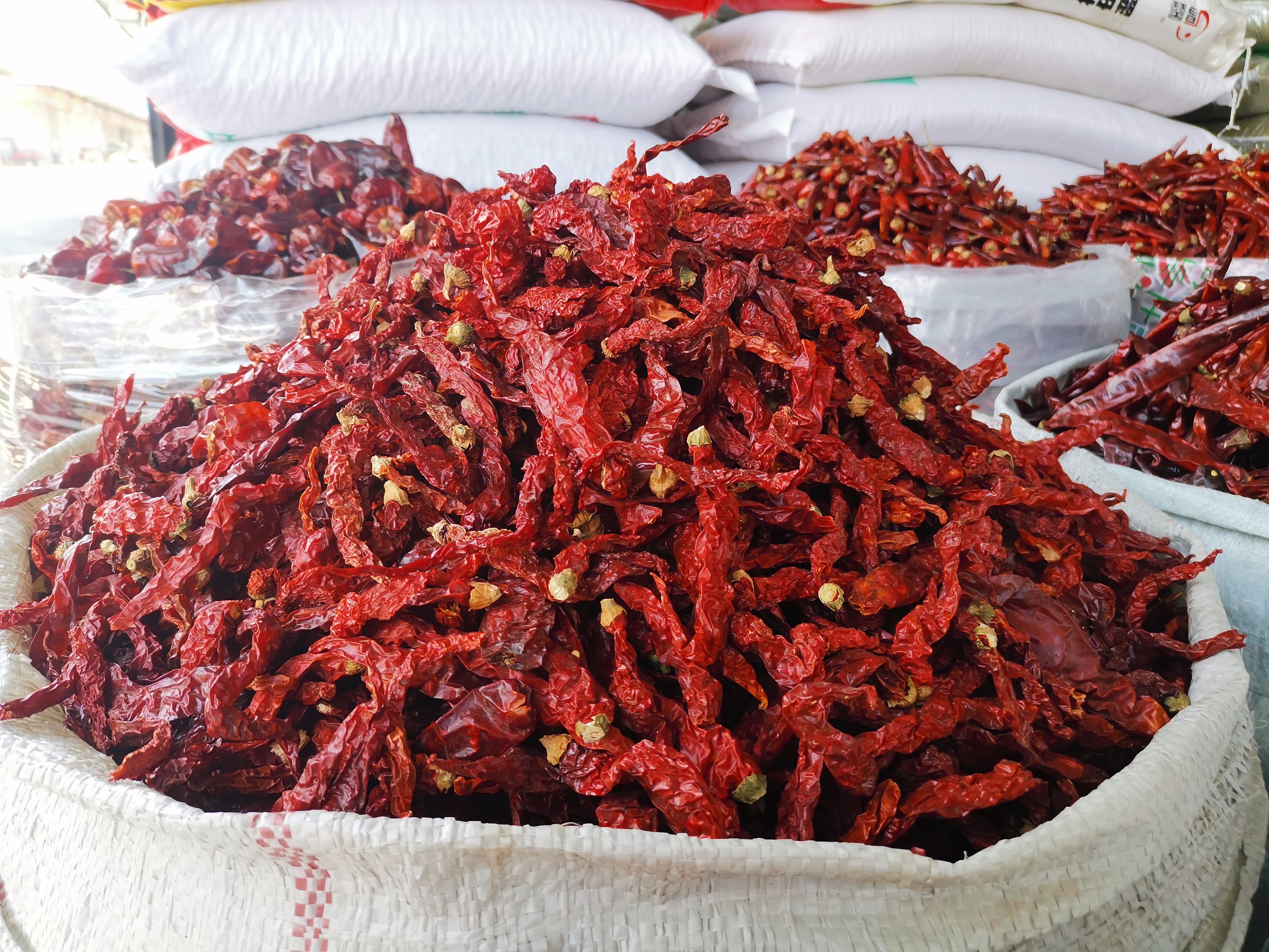 小菜市·大乾坤③“辣椒西施”的独门秘籍来咯