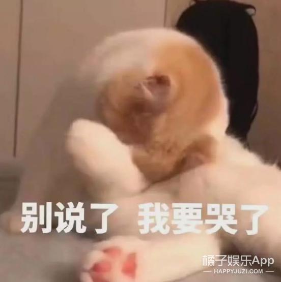 周雨彤任素汐他乡故乡,任素汐周雨彤