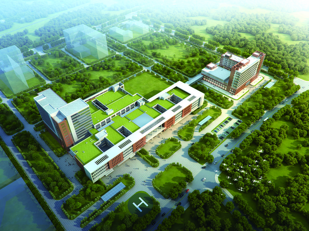 医院提升医疗质量行动方案,医疗健康提升行动