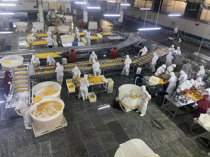 全国水果罐头主要产地在哪里,全国6大品牌水果罐头产地