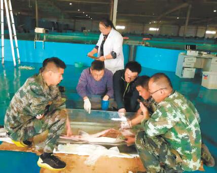 今日视点2020,今日视点四川演播厅