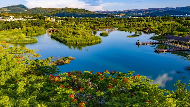 打好绿色牌，开远从根到枝到面都在变“绿”