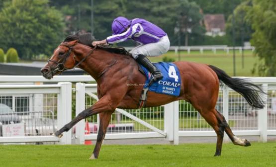 世界排行榜前十种马,世界十大马匹品种