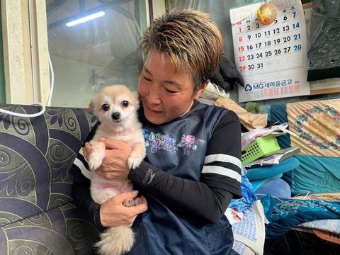 动物不是物品！韩国拟赋予动物法律地位SouthKoreatogiveanimalslegalstatustofightabuseandabandonment