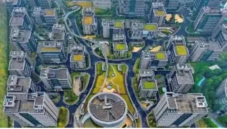 顶流人气震惊圈内人,顶流的魅力有多大