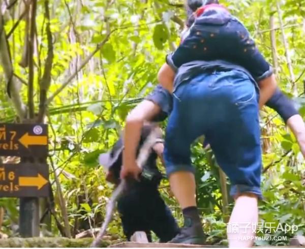 黄贯中宠朱茵,黄贯中朱茵一家三口温馨合照曝光