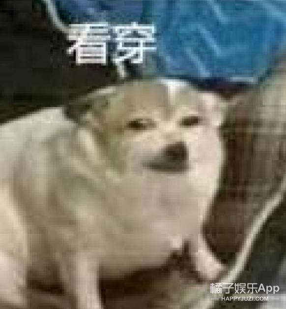 乔欣许魏洲不约而同,乔欣许魏洲人间清醒发言