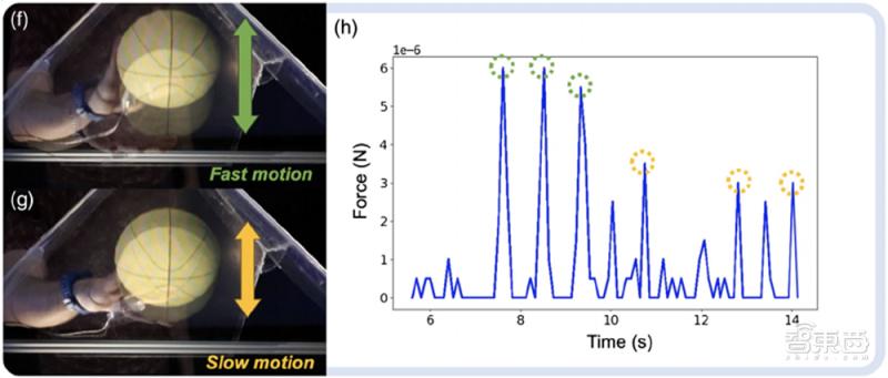 全息3d投影篮球,科学实验全息投影3d
