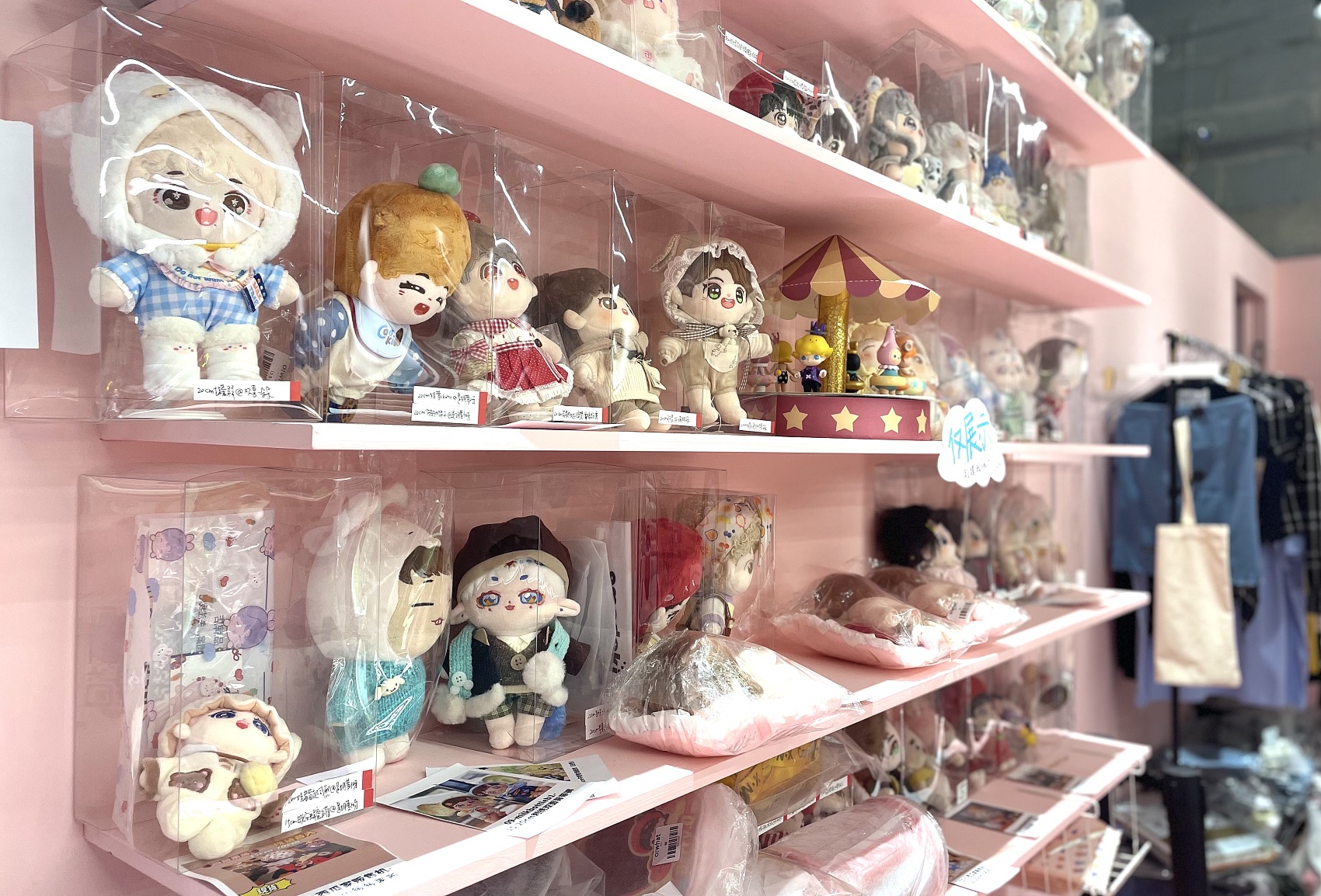 流水的追星女孩，铁打的扬州“娃厂”