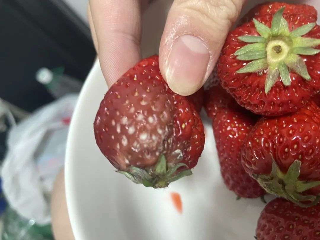 黑心商家遭报应完整视频,黑心商家遭报应了