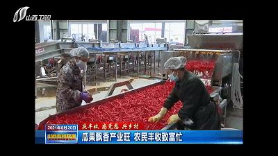 农民田间辛勤劳作喜迎首个丰收节,庆丰收让乡亲们的日子越过越红火