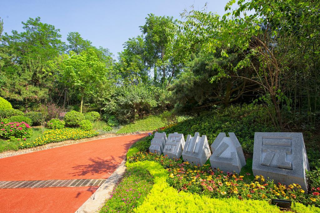 十一青岛去哪里玩最好,十一去青岛玩哪里最好