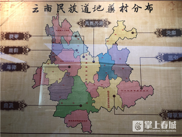 COP15遇见昆明｜640年匠心传承中华老字号昆中药的新使命