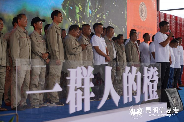 褚橙包装盒红点,褚橙包装最新消息