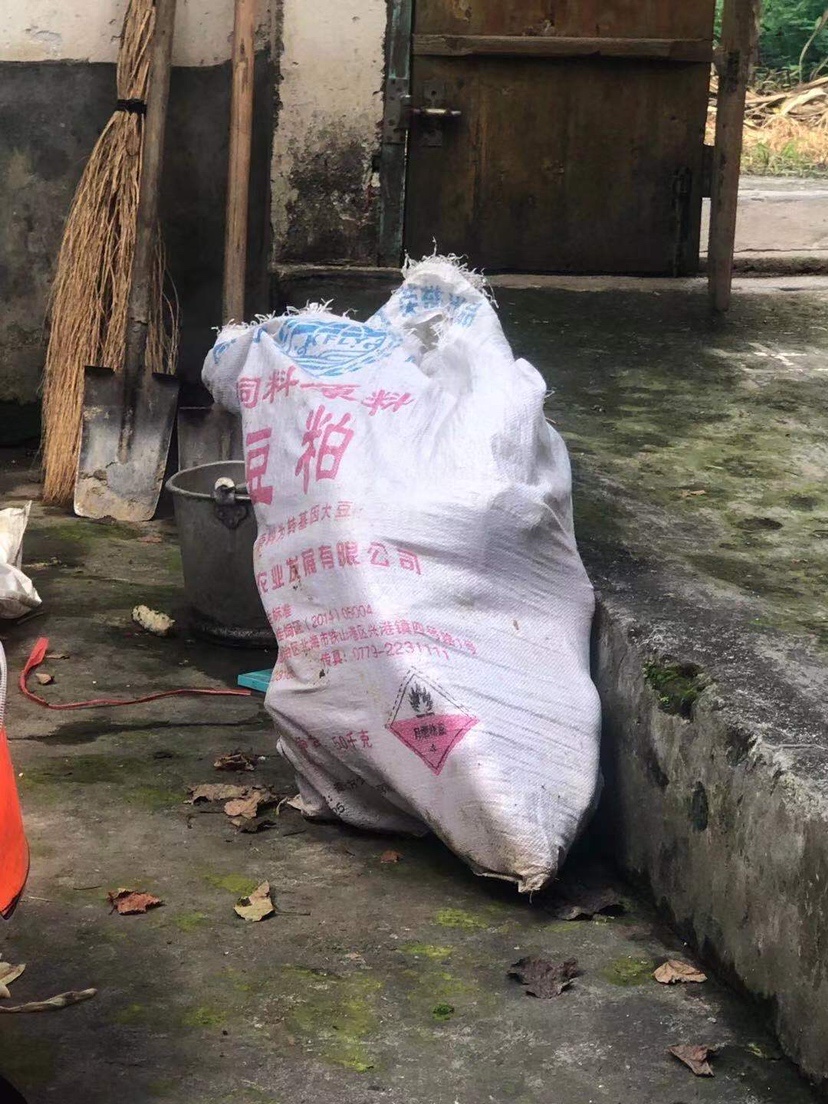 姐姐转战多个水库，鲮鱼爆护，豆豉鲮鱼不吃却拉回一麻袋有毒木薯