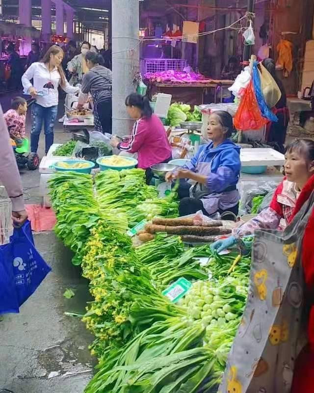 柳州现在什么青菜便宜,柳州青菜贵